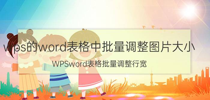 wps的word表格中批量调整图片大小 WPSword表格批量调整行宽？